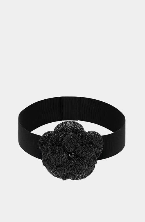 Belt Quinn